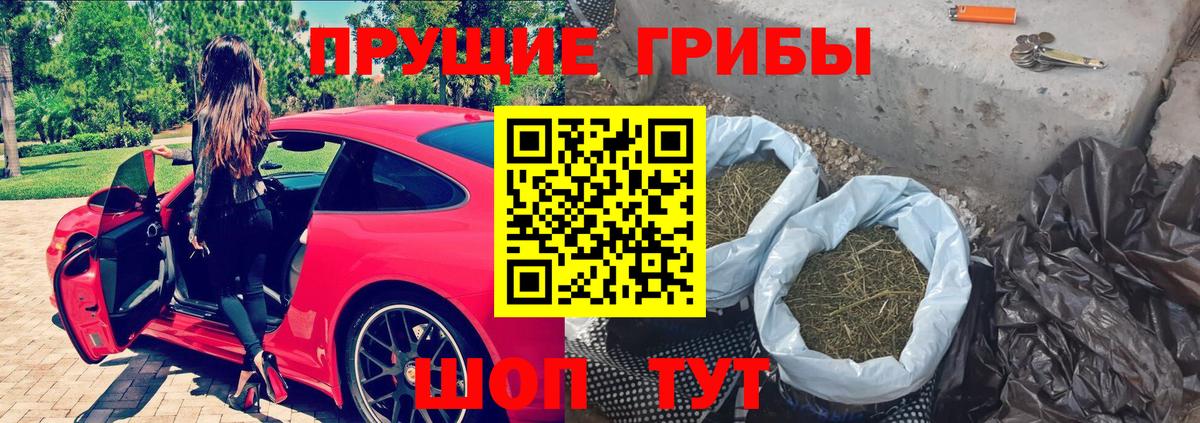 Псилоцибиновые грибы Psilocybe  Галлюциногенные грибы Cubensis  Сургут  Вход с VPN 