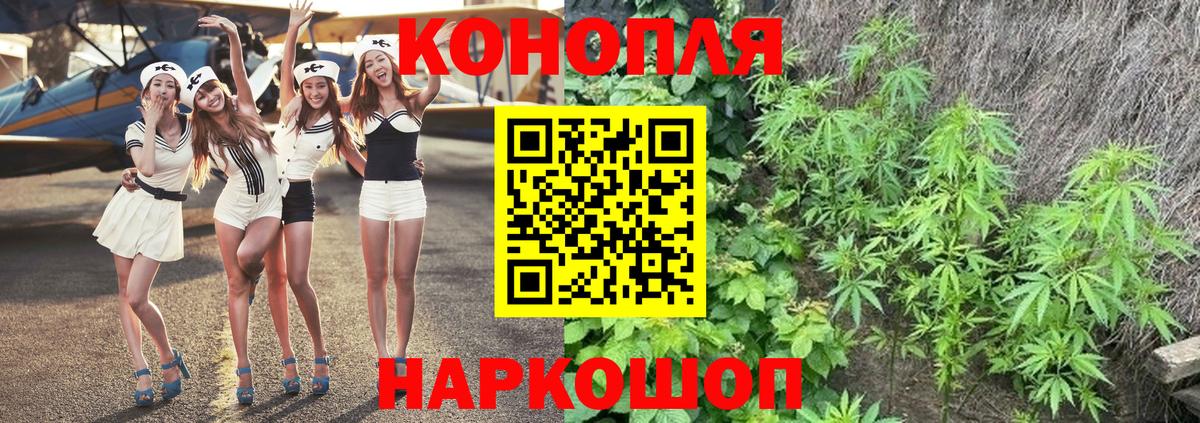 Бошки Шишки MAZAR Сургут